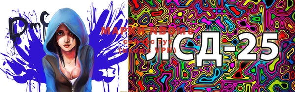 PSILOCYBIN Абдулино